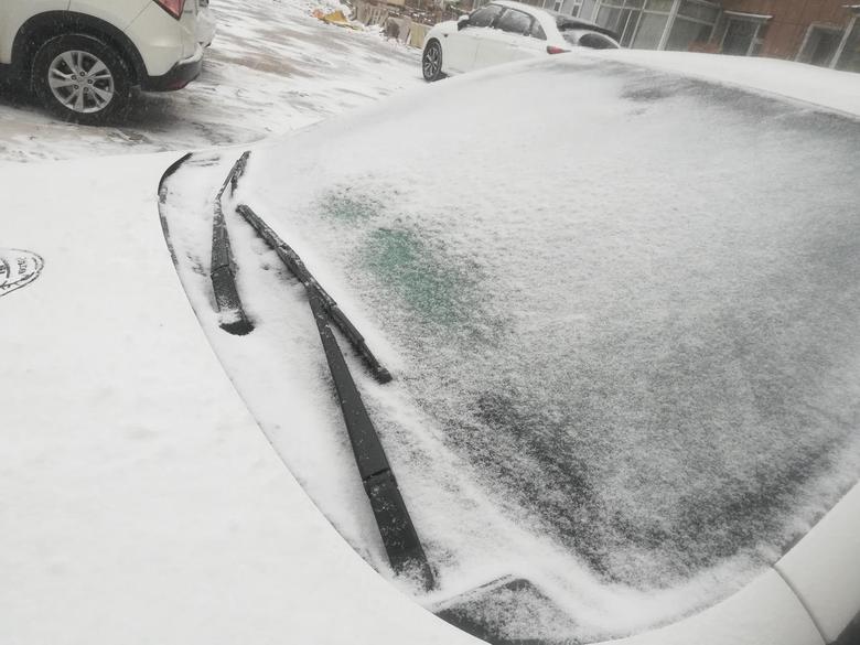 人保车险|车险中的特约条款有哪些？如何选择？