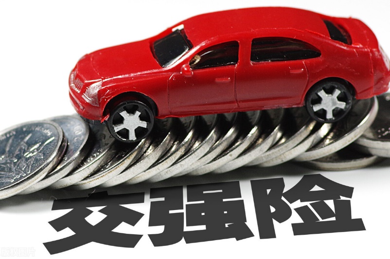 人保车险|新手上路，车险让你更安心！